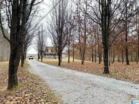 485 HUNTER ROAD, RANDOLPH, AL 36792