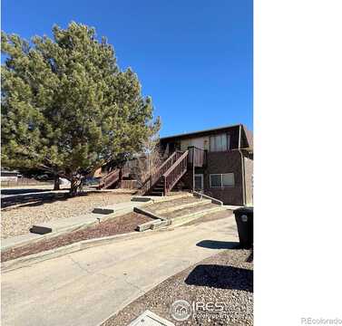 Dexter, LONGMONT, CO 80501