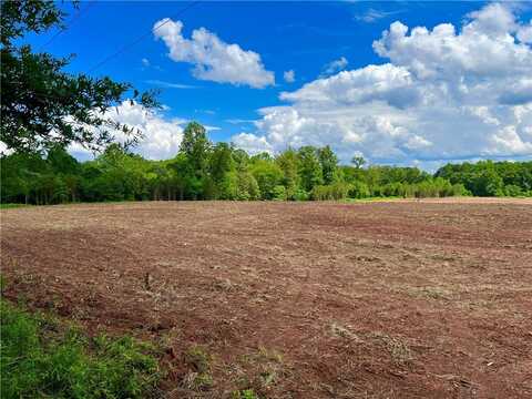 Royster Road, Townville, SC 29689
