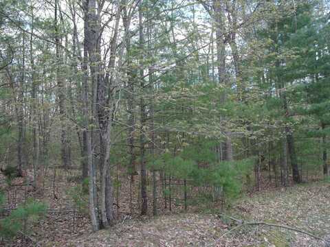 6845 Sequoia Drive, Indian River, MI 49749