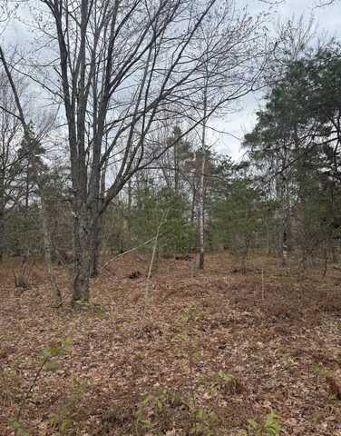 177 PINEVIEW DR, Mancelona, MI 49659