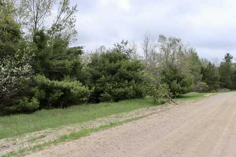 3662 Par Four Drive, Wolverine, MI 49799