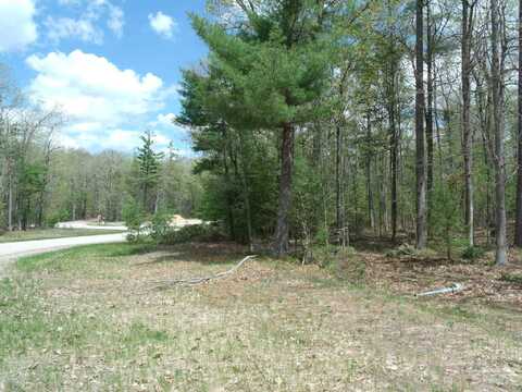 Wintree Drive, Indian River, MI 49749