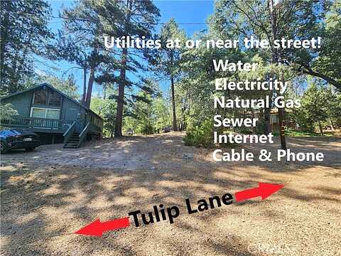 Tulip, Arrowbear, CA 92382