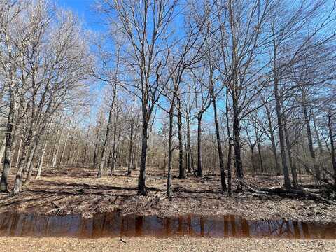 Cr 3113, Pittsburg, TX 75686