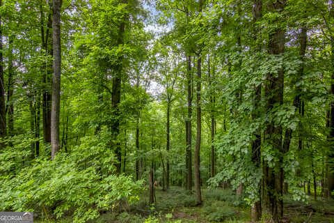 Lt M165 Walnut Ridge, Ellijay, GA 30540