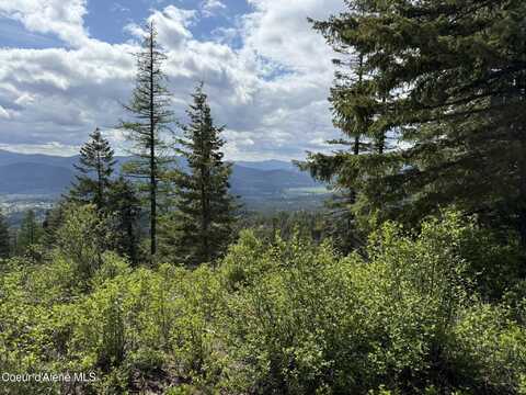 397 Upriver View, Fernwood, ID 83830