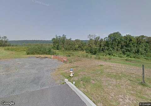 Wild Orchid, ENOLA, PA 17025