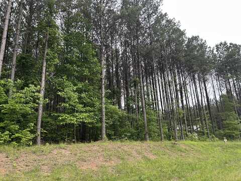 1771 Crockett Point, Jasper, TN 37347