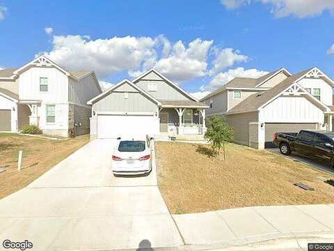 Steeplebush, NEW BRAUNFELS, TX 78130