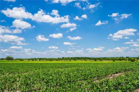 0000 FM 1349, Skidmore, TX 78389