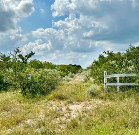 377 County Road 369, Sandia, TX 78383