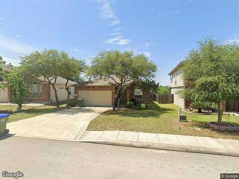 Nesting, SAN ANTONIO, TX 78253