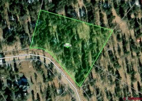 315 Kebler Trail, Powderhorn, CO 81243