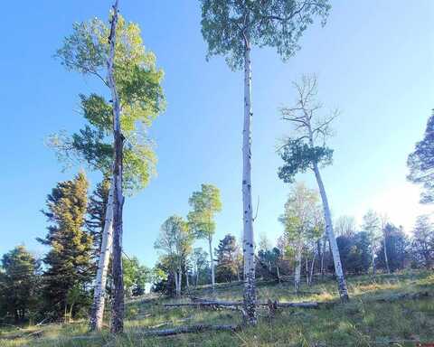 315 Kebler Trail, Powderhorn, CO 81243