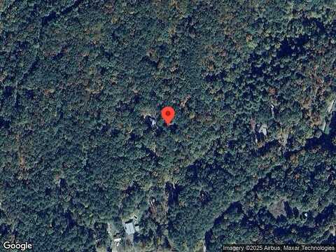 Shotsy, ELLIJAY, GA 30540