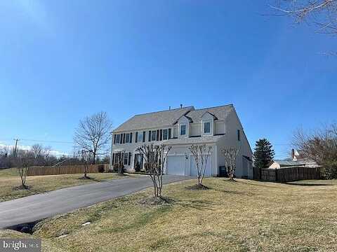 Hollister, LORTON, VA 22079