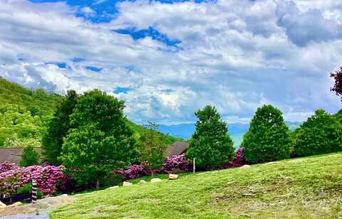 00 Camden Downs Road, Waynesville, NC 28785