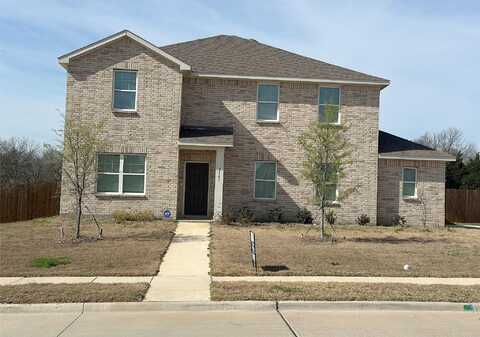 Cinnamon Springs, GLENN HEIGHTS, TX 75154