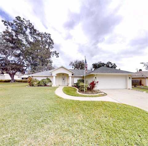 Needle Palm, EDGEWATER, FL 32141