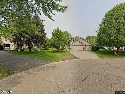 Coneflower, SAINT PAUL, MN 55123