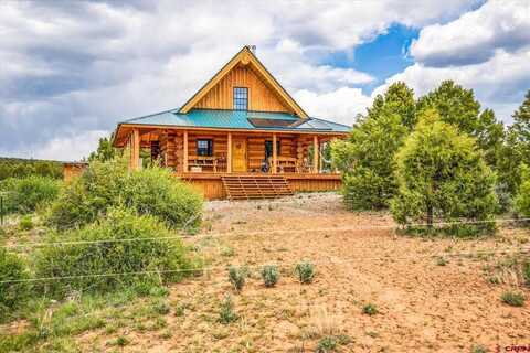 29833 FS 528, Dolores, CO 81323