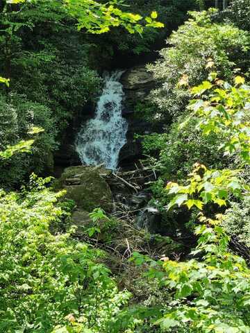 449 Boone Top None, Zirconia, NC 28790