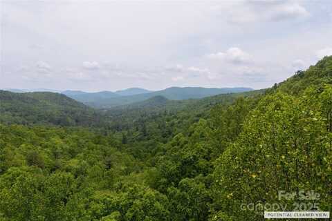 000 Boone Top None, Zirconia, NC 28790