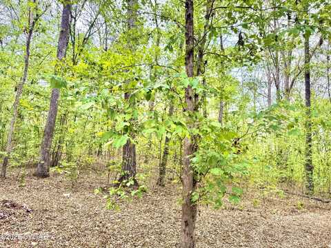 0 Peregrine Rd, Big Sandy, TN 38221