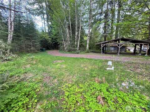 33823 State Route 706 4, Ashford, WA 98304