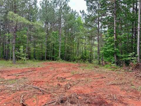 5.3-/+ Patriot, Dahlonega, GA 30533