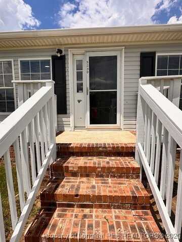 3230 Purdie Hall Road, Saint Pauls, NC 23384