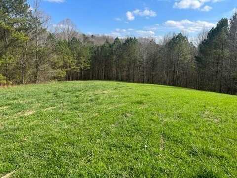 3011 Mark Foster, Talking Rock, GA 30175