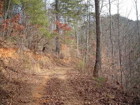 Lot 12 Cedar Cliff/Stovall, Tuckasegee, NC 28783