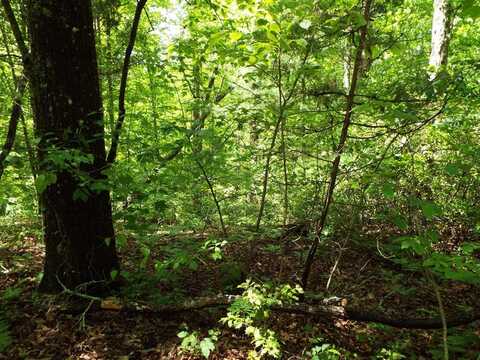 Mockingbird Lane, Sylva, NC 28779