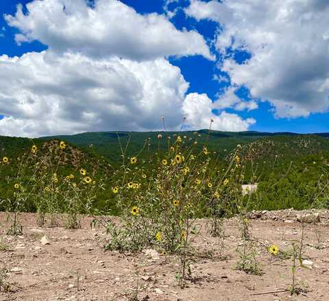 13 Vista Grande, Cedar Crest, NM 87008