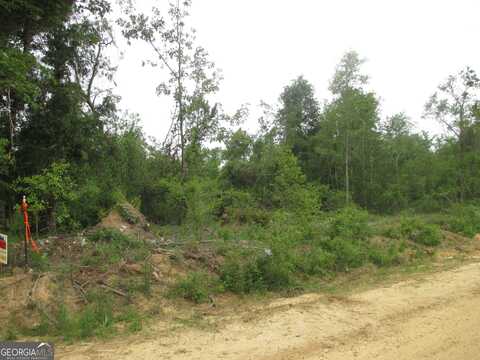 08600008t6 Hayride, Lumber City, GA 31549