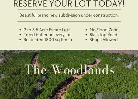 Lot 33 Copper Pass, Livingston, LA 70754