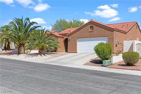 608 Blooming View Avenue, North Las Vegas, NV 89032