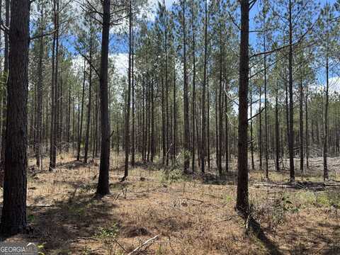 Lot 2 Lipham, Franklin, GA 30217
