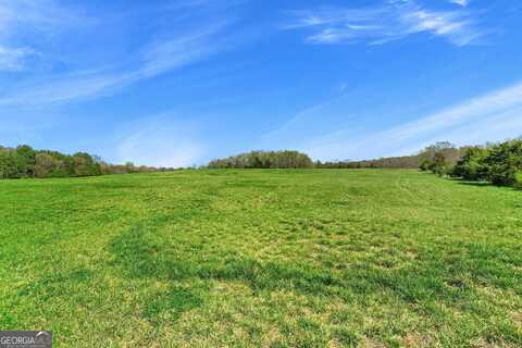 0a Deep Creek, Bowman, GA 30624