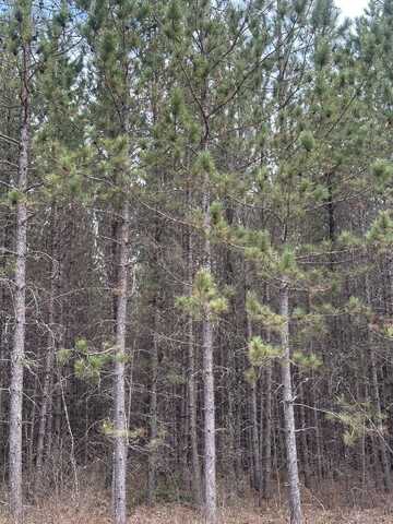 On LEE RD, Tomahawk, WI 54487