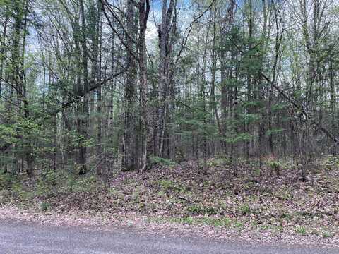 Off MOONSHINE VALLEY RD, Presque Isle, WI 54512