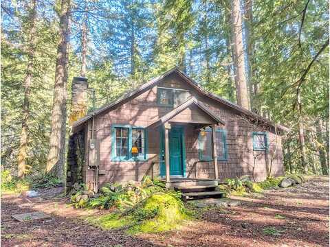 E Road 31 Lot 61, Rhododendron, OR 97049