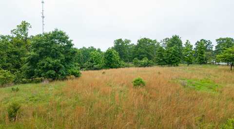 000 County Road 302, Alton, MO 65606