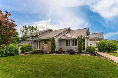 185 Pioneer Drive, Seymour, MO 65746