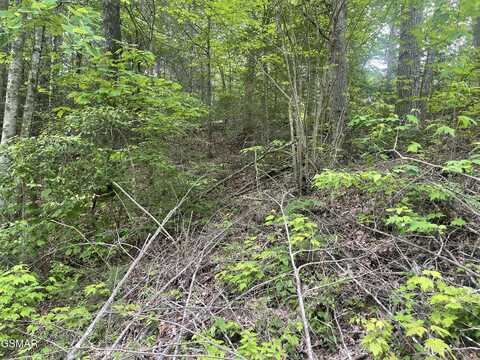 1115 Tranquility Hills Way, Cosby, TN 37722