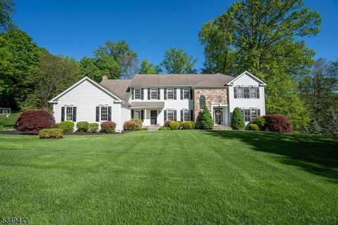 2 Linsey Ct, Mendham, NJ 07945