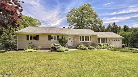 226 Emily Dr, Park Ridge Boro, NJ 07656