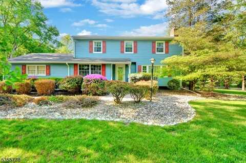 192 Short Hills Dr, Bridgewater, NJ 08807